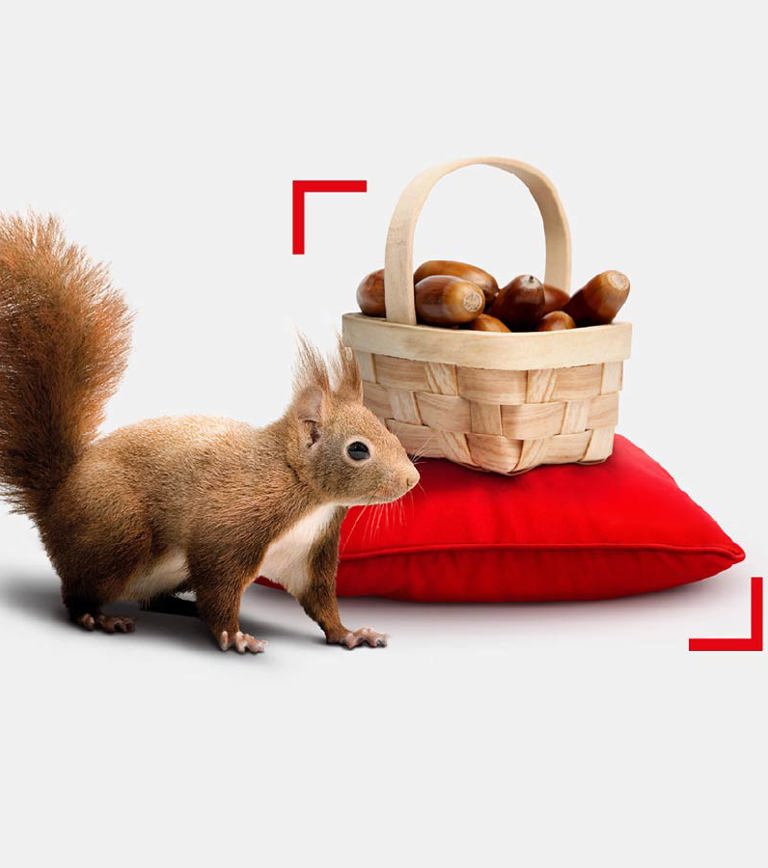 Sparkasse e Allianz insieme per dare valore al tuo investimento